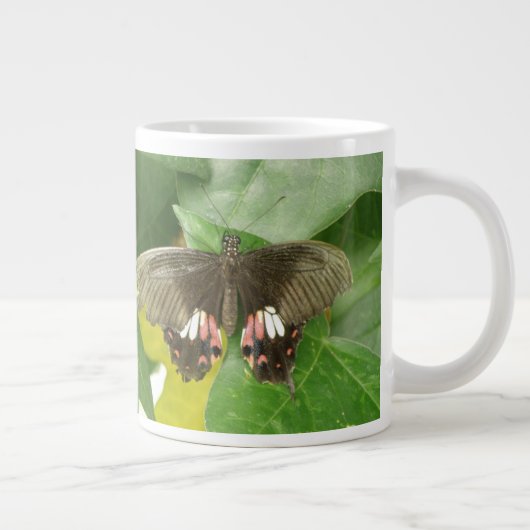 Scarlet Frack Butterfly Tasse (Rechts)