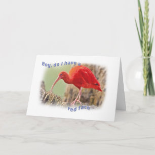 Scarlet Ibis Bird Belated Birthday Card Karte