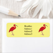 Scarlet ibis bird Cartoon (Insitu)