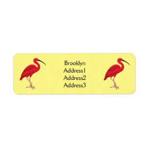 Scarlet ibis bird Cartoon