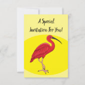 Scarlet ibis bird Cartoon Einladung (Rückseite)