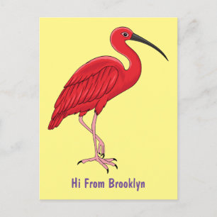 Scarlet ibis bird Cartoon Postkarte