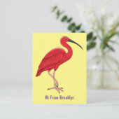 Scarlet ibis bird Cartoon Postkarte (Stehend Vorderseite)