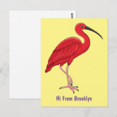 Scarlet ibis bird Cartoon Postkarte (Vorne/Hinten)