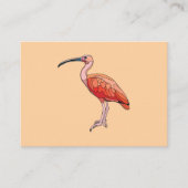 Scarlet Ibis Bird Visitenkarte (Vorderseite)