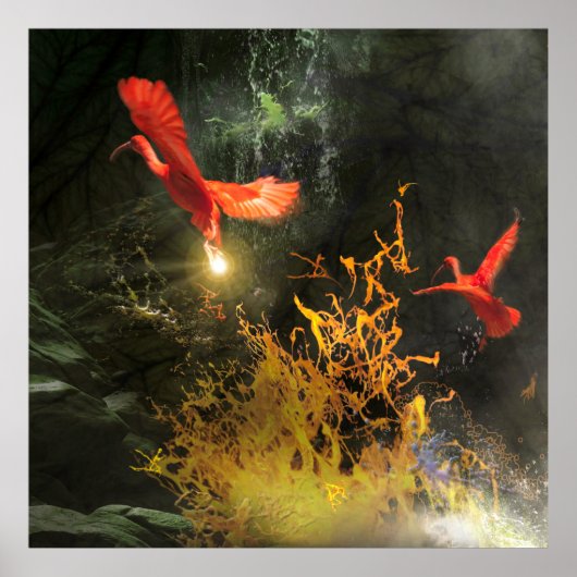 Scarlet Ibis Birds "STEALING THE LIGHT" Poster (Vorne)