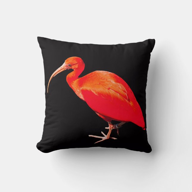 Scarlet Ibis Kissen (Vorderseite)