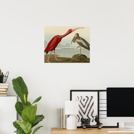 Scarlet Ibis Poster (Heimbüro)