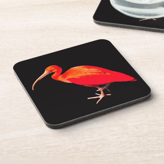 Scarlet Ibis Untersetzer (Linke Seite)