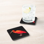 Scarlet Ibis Untersetzer (Rechte Seite)