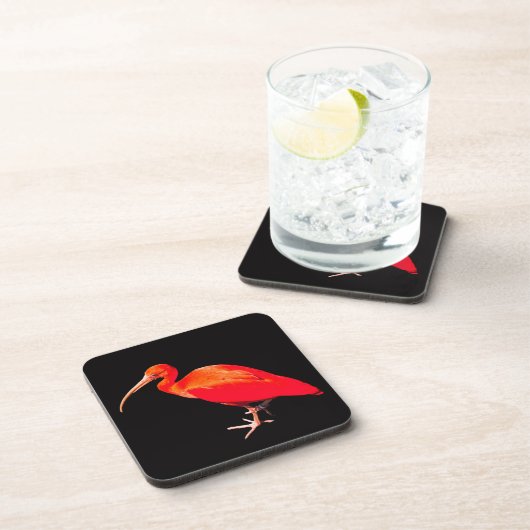 Scarlet Ibis Untersetzer (Rechte Seite)