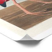 Scarlet Ibis von Audubon Poster (Ecke)