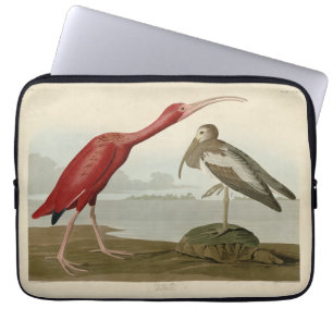 Scarlet Ibis - von Audubons Vögeln Amerikas Pos Laptopschutzhülle