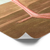 Scarlet ibis von John James Audubon Poster (Ecke)