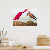 Scarlet ibis von John James Audubon Poster (Küche)