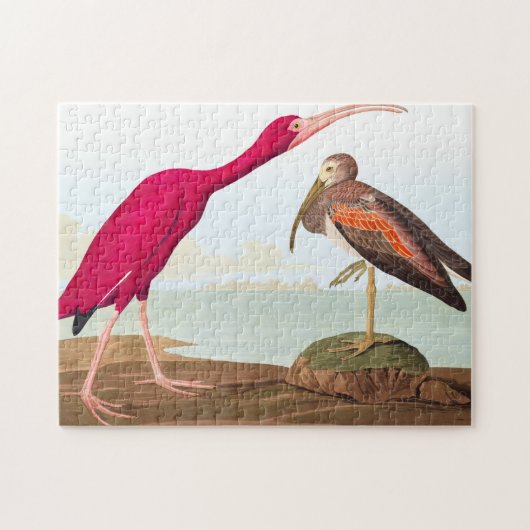 Scarlet ibis von John James Audubon Puzzle (Horizontal)