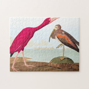 Scarlet ibis von John James Audubon Puzzle
