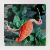 Scarlet Jigsaw Puzzle (Horizontal)
