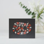 Scarlet King Snake Postkarte (Stehend Vorderseite)