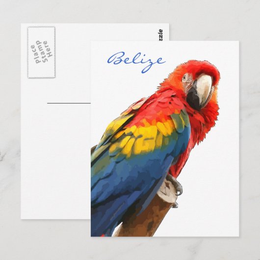 Scarlet Macaw Belize Postkarte (Vorne/Hinten)