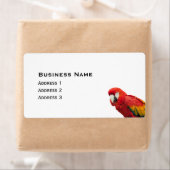 Scarlet Macaw Bird (Insitu)
