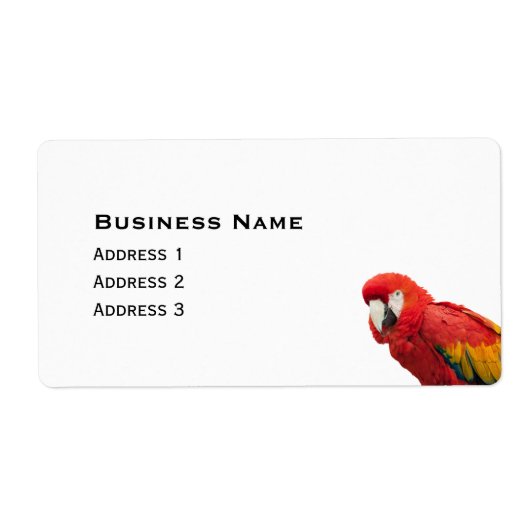 Scarlet Macaw Bird (Vorne)