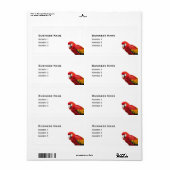 Scarlet Macaw Bird (Vorne)