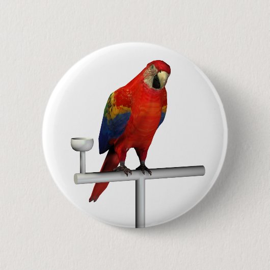 Scarlet Macaw Button (Vorderseite)