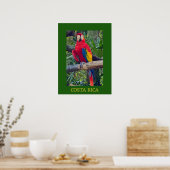 Scarlet Macaw Costa Rica Design Poster (Küche)