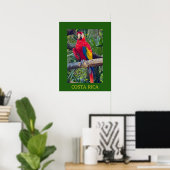 Scarlet Macaw Costa Rica Design Poster (Heimbüro)