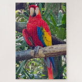 Scarlet Macaw Costa Rica Jigsaw Puzzle (Vertikal)