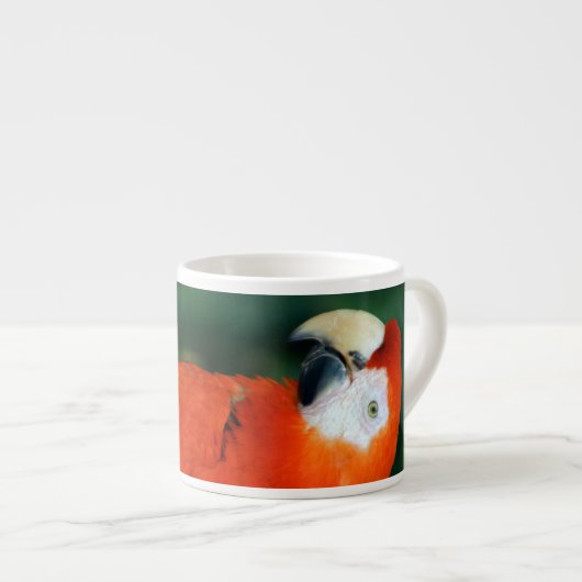 Scarlet Macaw Espressotasse (Vorderseite Rechts)
