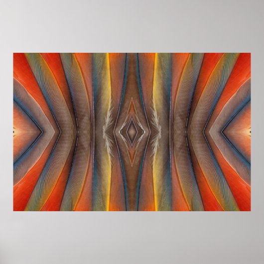 Scarlet Macaw feather design Poster (Vorne)