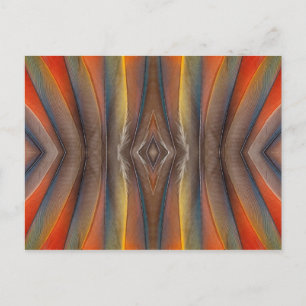 Scarlet Macaw feather design Postkarte