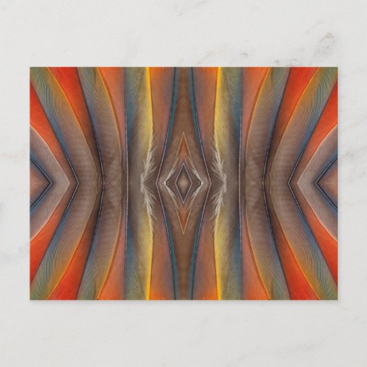 Scarlet Macaw feather design Postkarte (Vorderseite)
