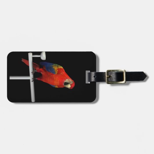 Scarlet Macaw Gepäckanhänger (Vorderseite horizontal)