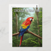 Scarlet Macaw im Corcovado Nationalpark Reisen Postkarte (Vorne/Hinten)