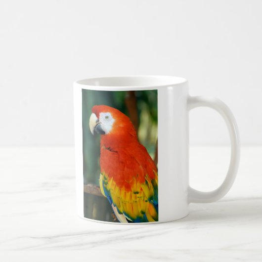 Scarlet Macaw Kaffeetasse (Rechts)