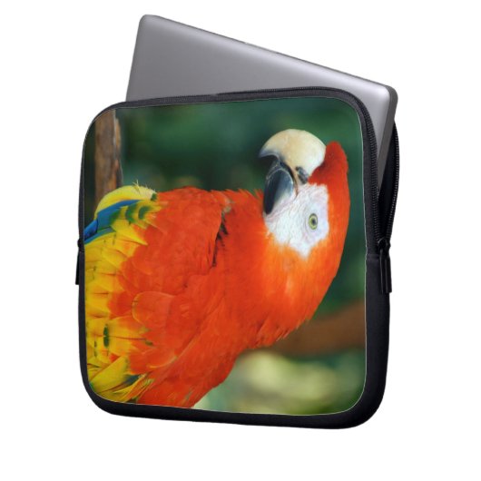 Scarlet Macaw Laptopschutzhülle (Vorderseite Links)