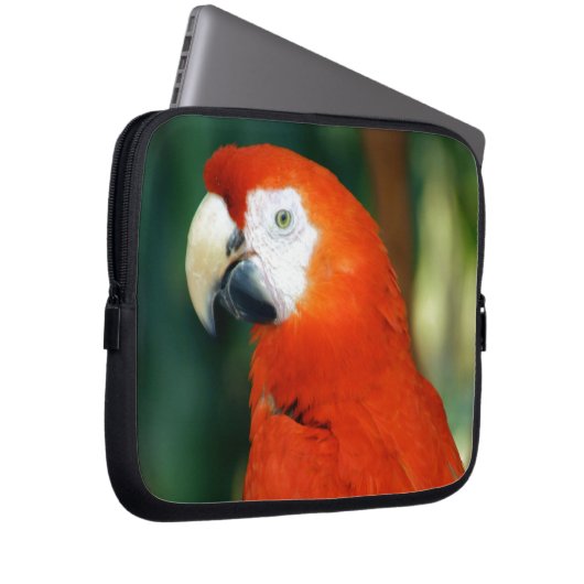 Scarlet Macaw Laptopschutzhülle (Vorne Rechts)