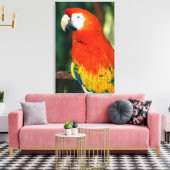 Scarlet Macaw Leinwanddruck (Insitu (Wohnzimmer))