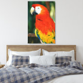 Scarlet Macaw Leinwanddruck (Insitu (Schlafzimmer))