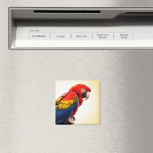 Scarlet Macaw Magnet (In Situ (Geschirrspüler))