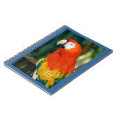 Scarlet Macaw Notizblock (Linke Seite)