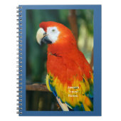 Scarlet Macaw Notizblock (Vorderseite)