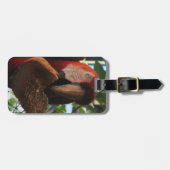 Scarlet Macaw Parrot Eating Toast Gepäckanhänger (Vorderseite horizontal)