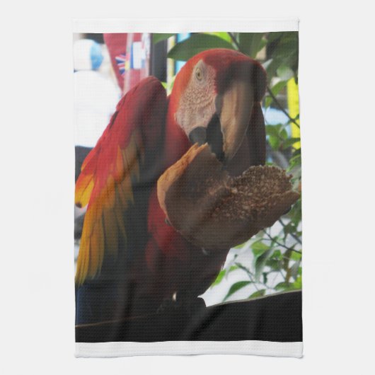 Scarlet Macaw Parrot Eating Toast Geschirrtuch (Vertikal)