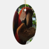 Scarlet Macaw Parrot Eating Toast Keramik Ornament (Rechts)