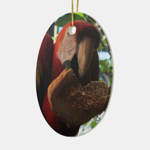 Scarlet Macaw Parrot Eating Toast Keramik Ornament