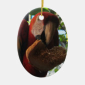 Scarlet Macaw Parrot Eating Toast Keramik Ornament (Vorne)